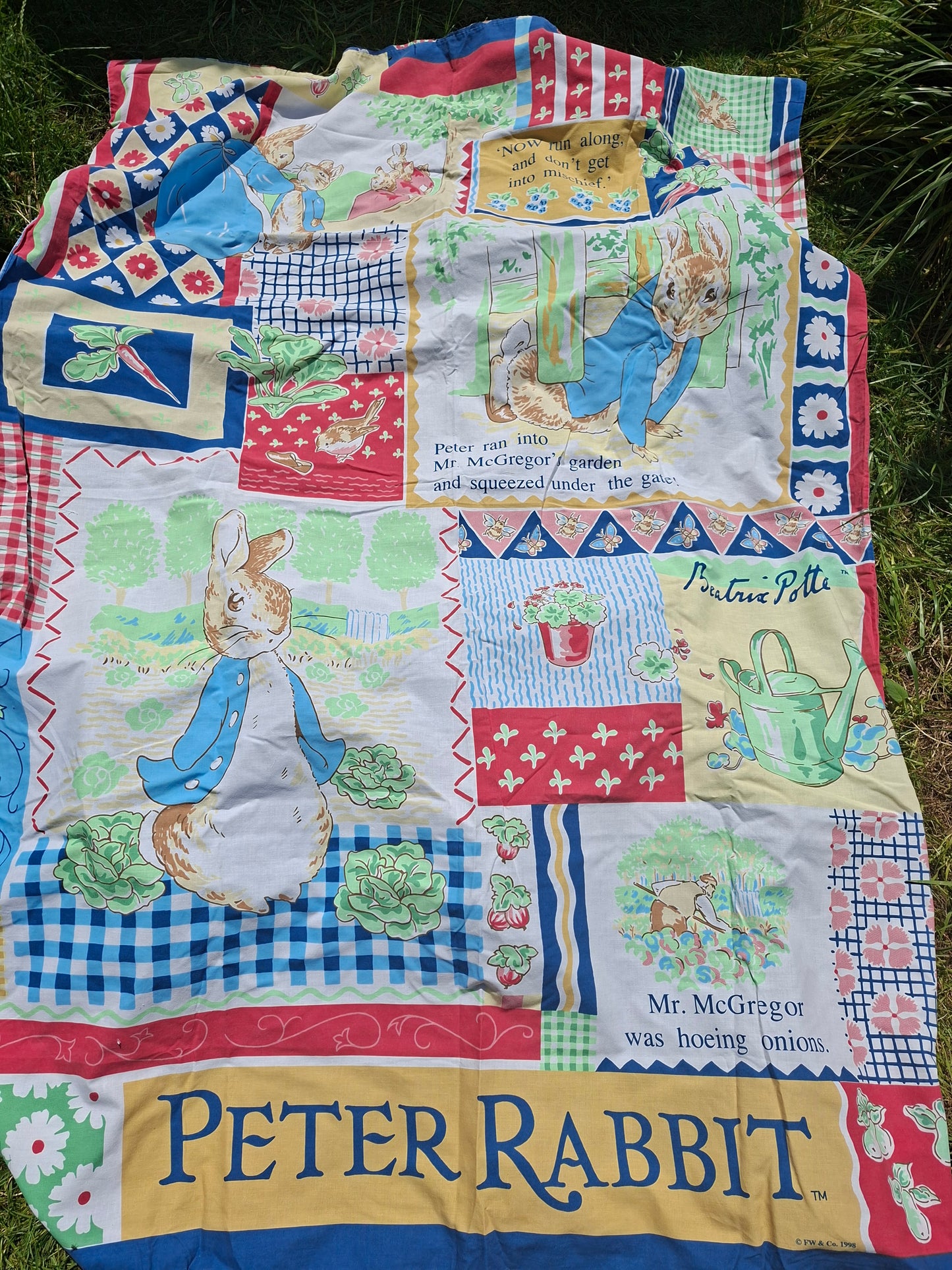 Custom Peter Rabbit Sweetheart Dress