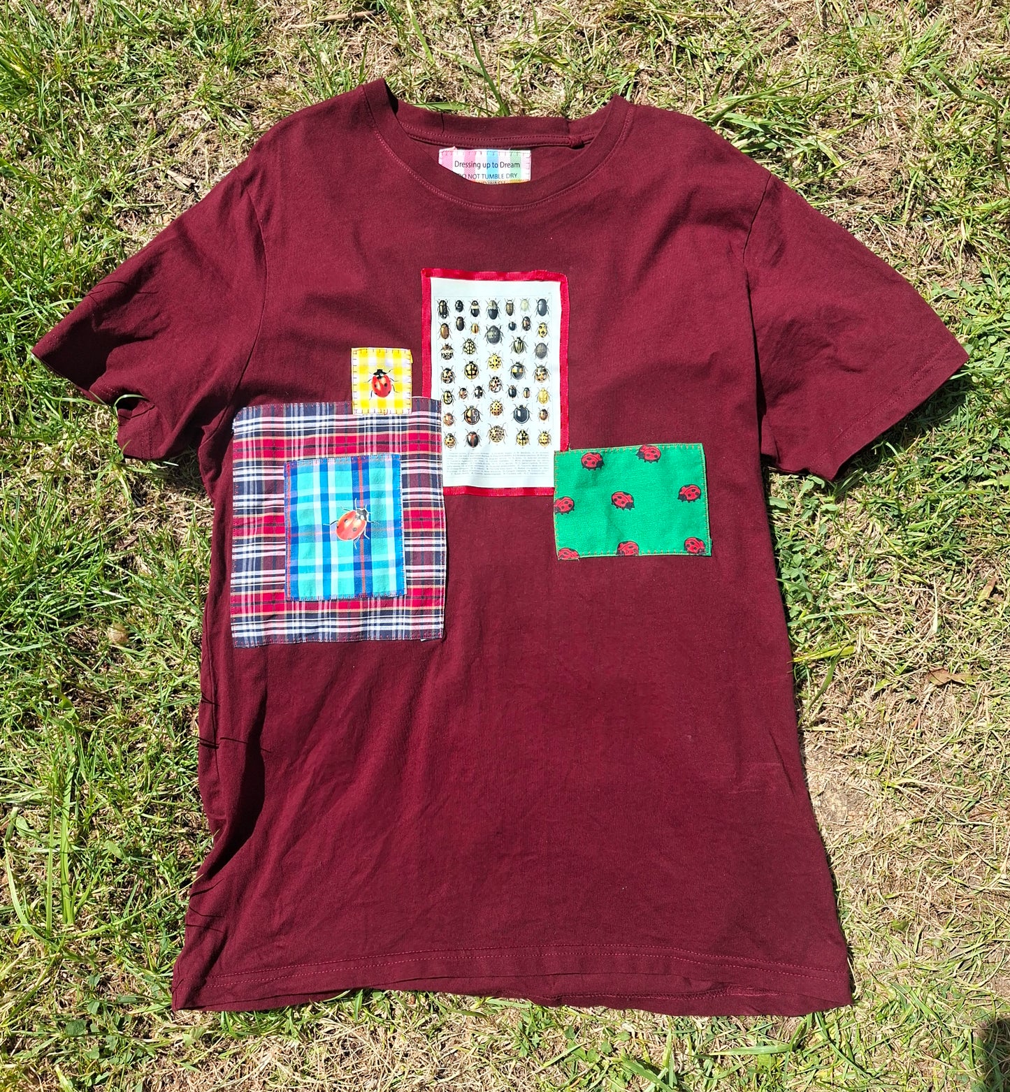 Ladybug Study Tee - Size 12