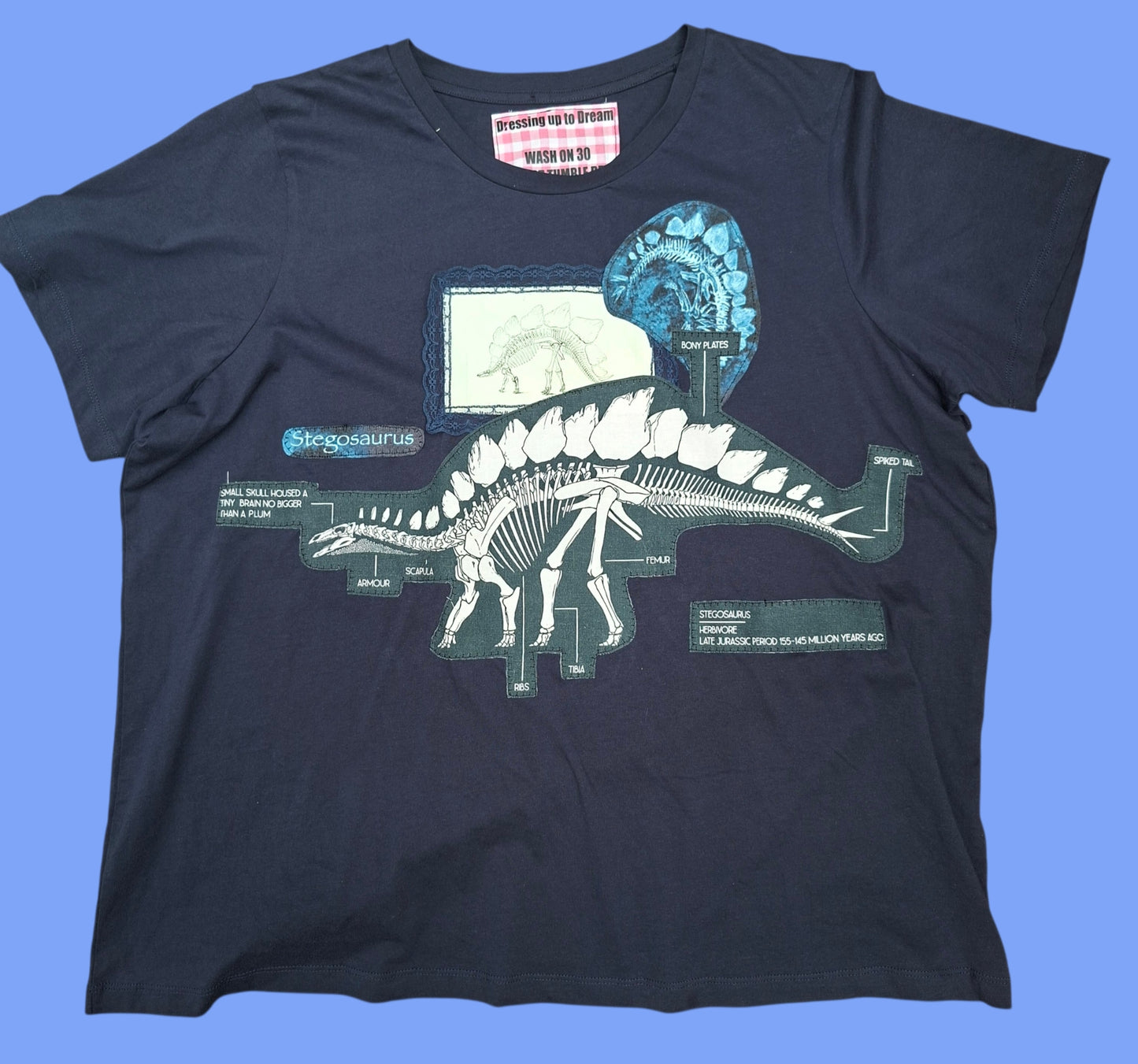 Stego Study T Shirt - Size 20-22