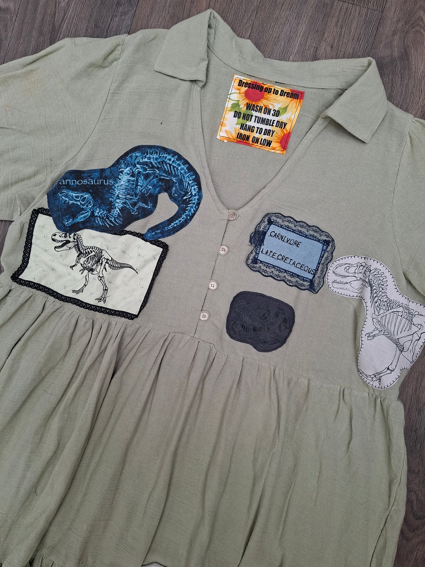 T Rex Study Dress - Size 24